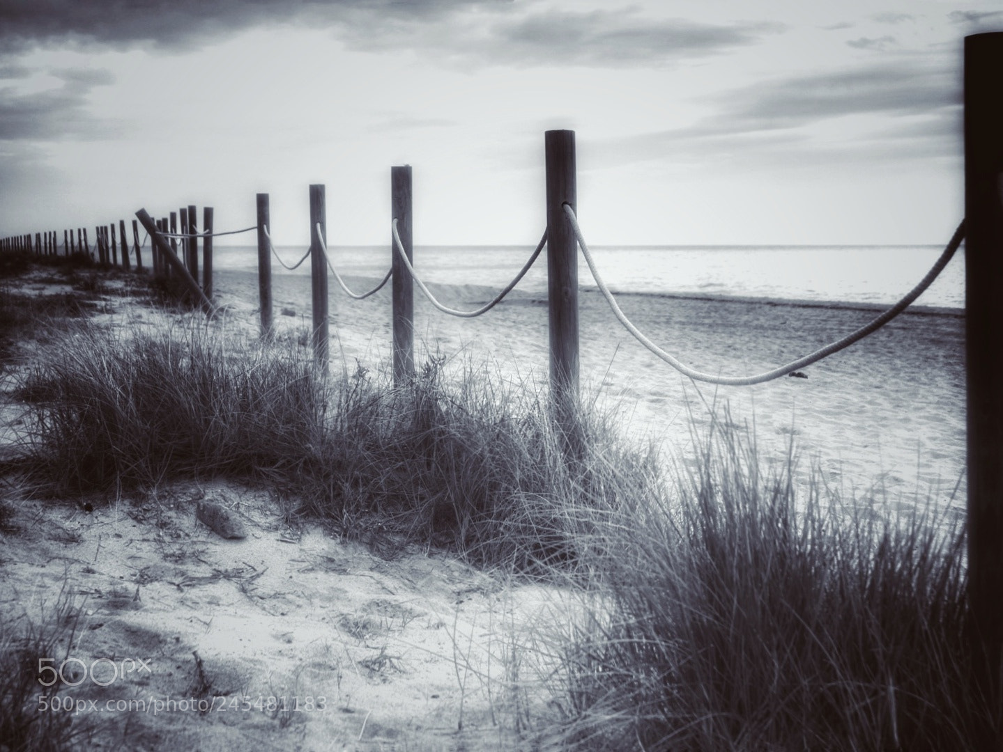 Sony Alpha NEX-6 sample photo. Frio photography