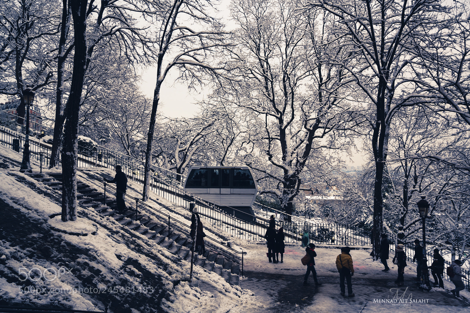 Sony a7R II sample photo. Dark winter photography