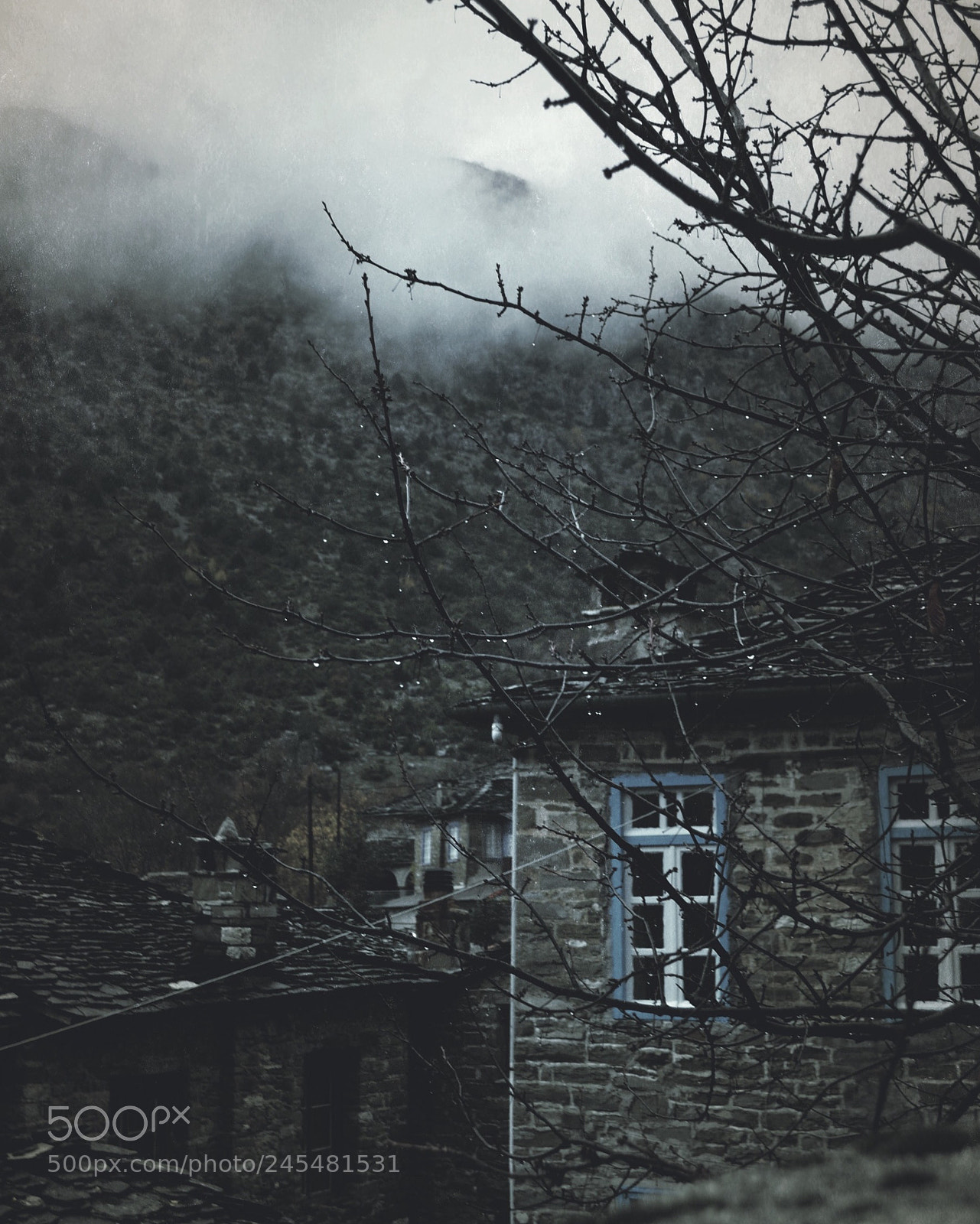 Nikon D3100 sample photo. “winter mood".. photography