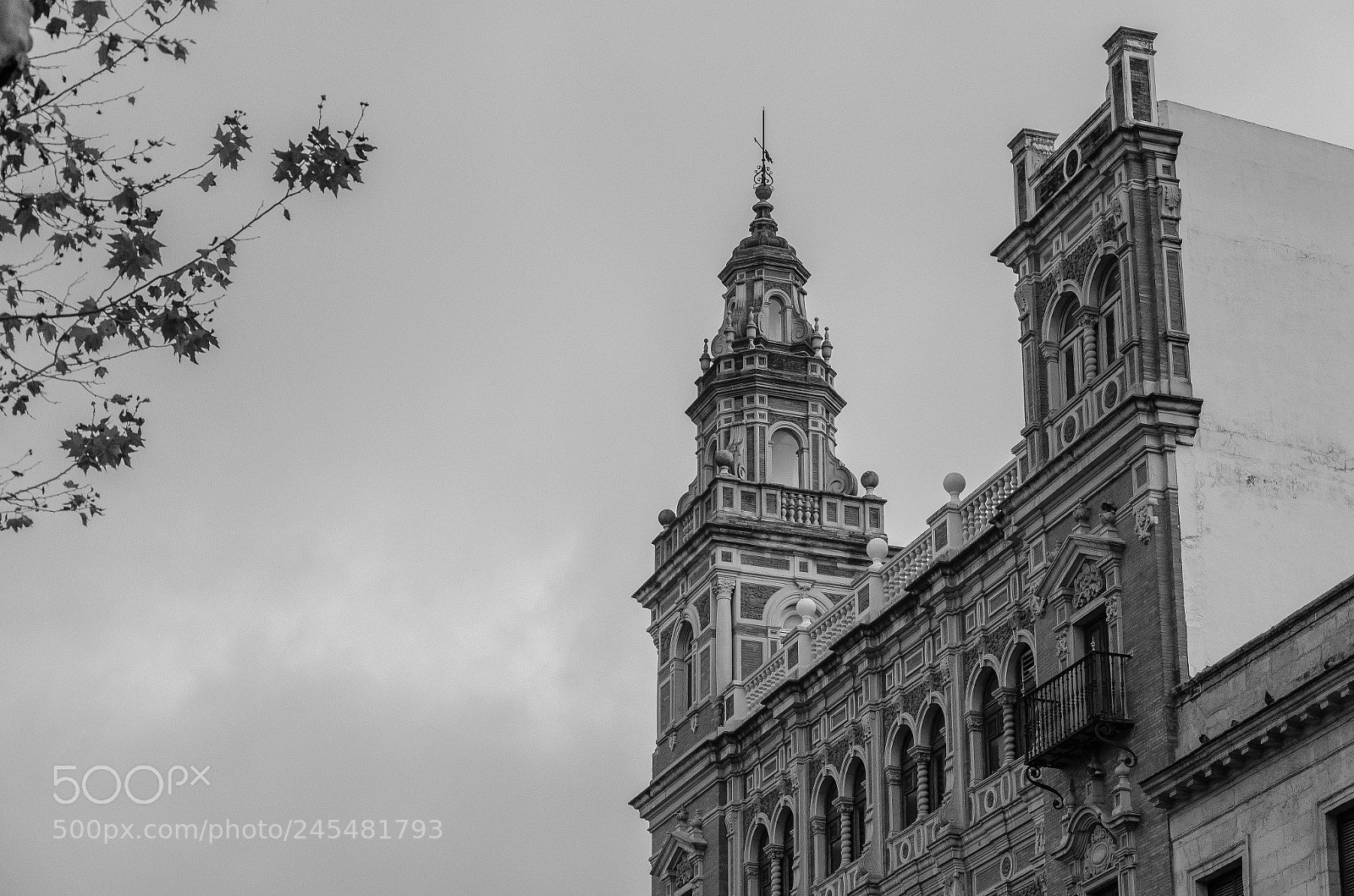 Nikon D5100 sample photo. Seville photography