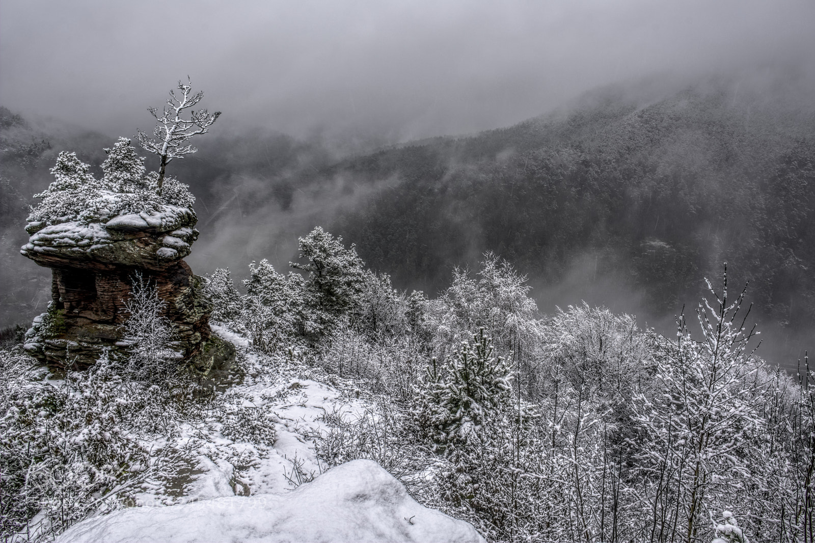 Nikon D7100 sample photo. Palatinate73 photography