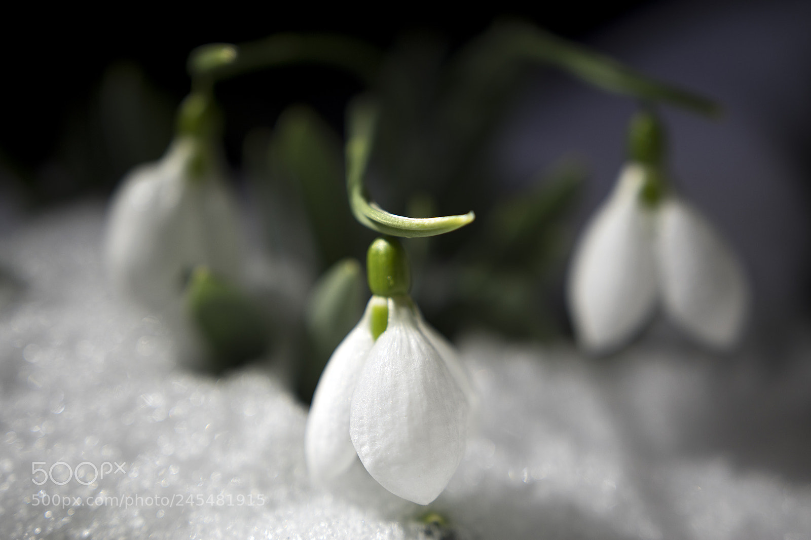 Nikon D5500 sample photo. Change photography