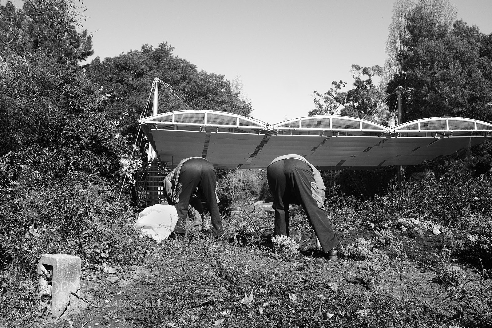 Fujifilm X100S sample photo. ... photography