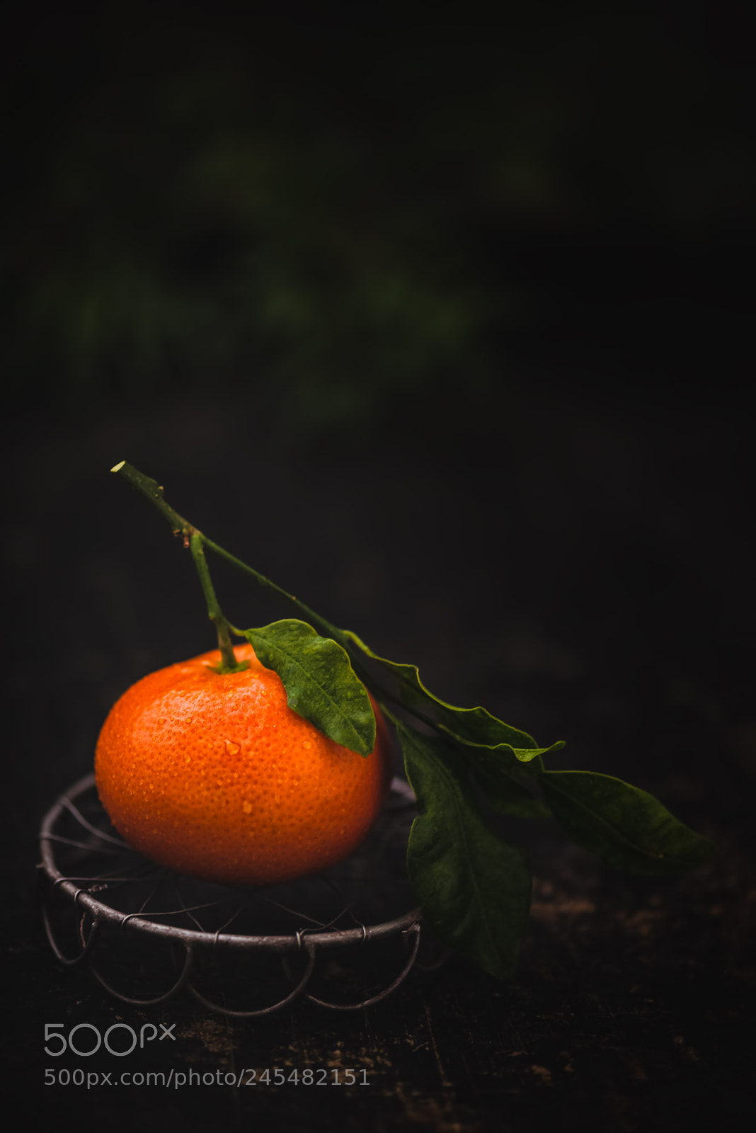 Nikon D610 sample photo. Tangerine photography