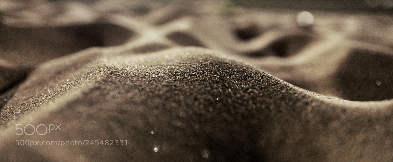 Leica Q (Typ 116) sample photo. Golden beach photography