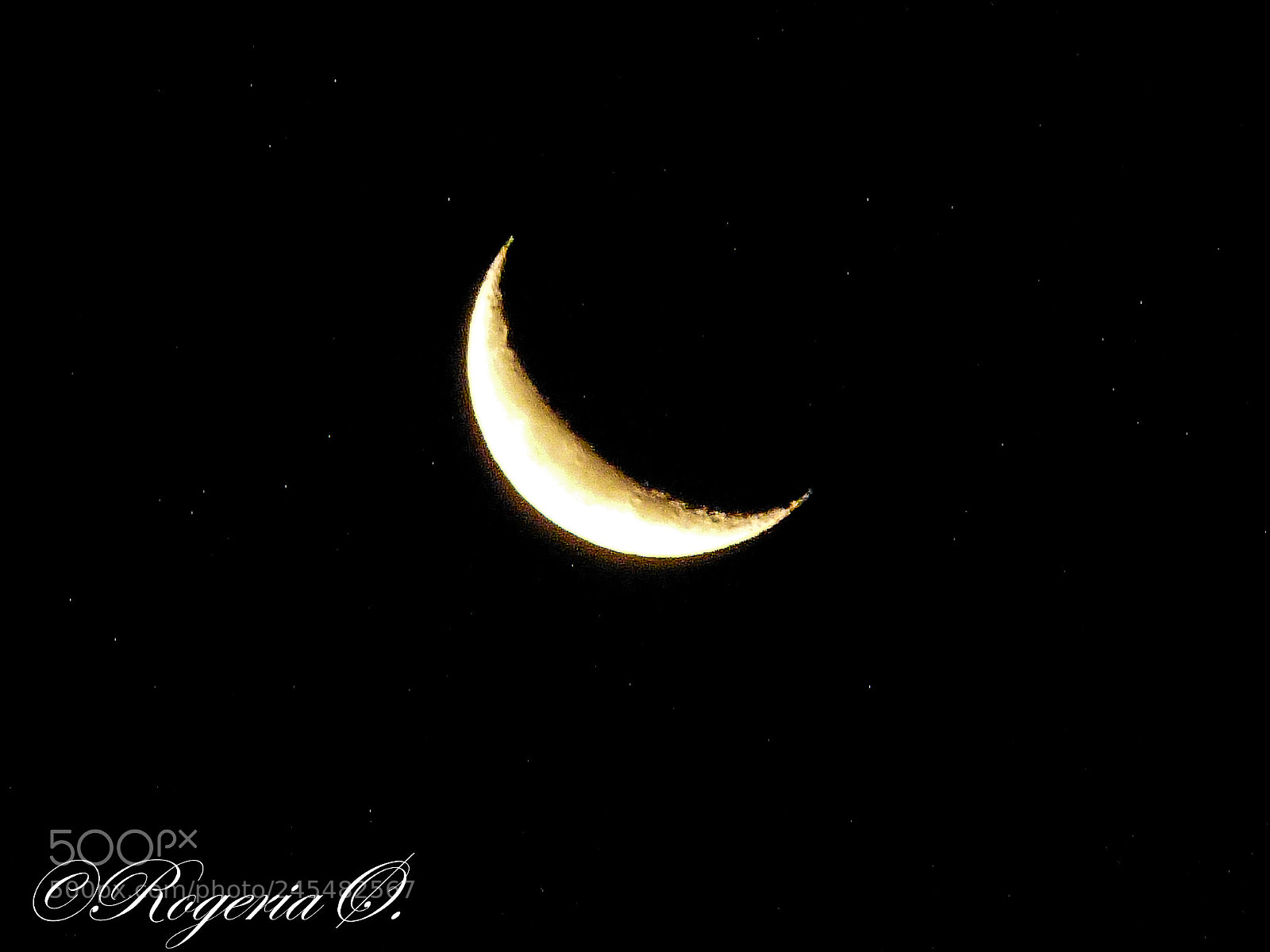 Panasonic Lumix DMC-FZ150 sample photo. 147.jpg photography