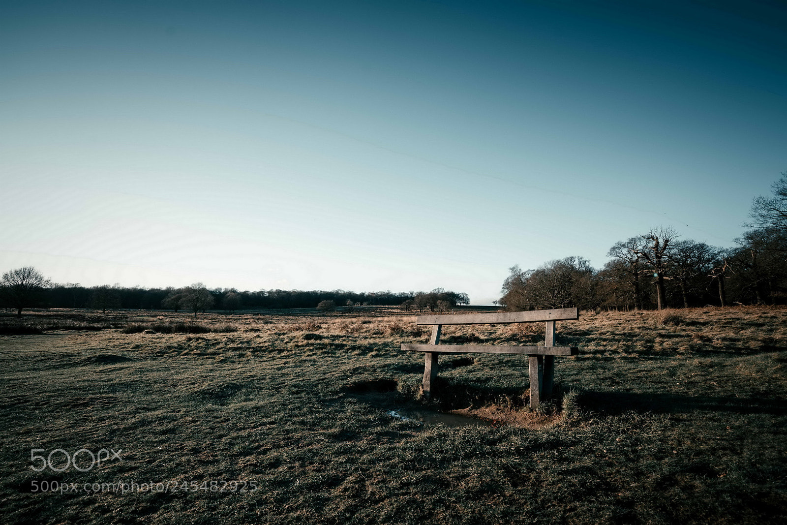 Sony a7R II sample photo. Untitled photography