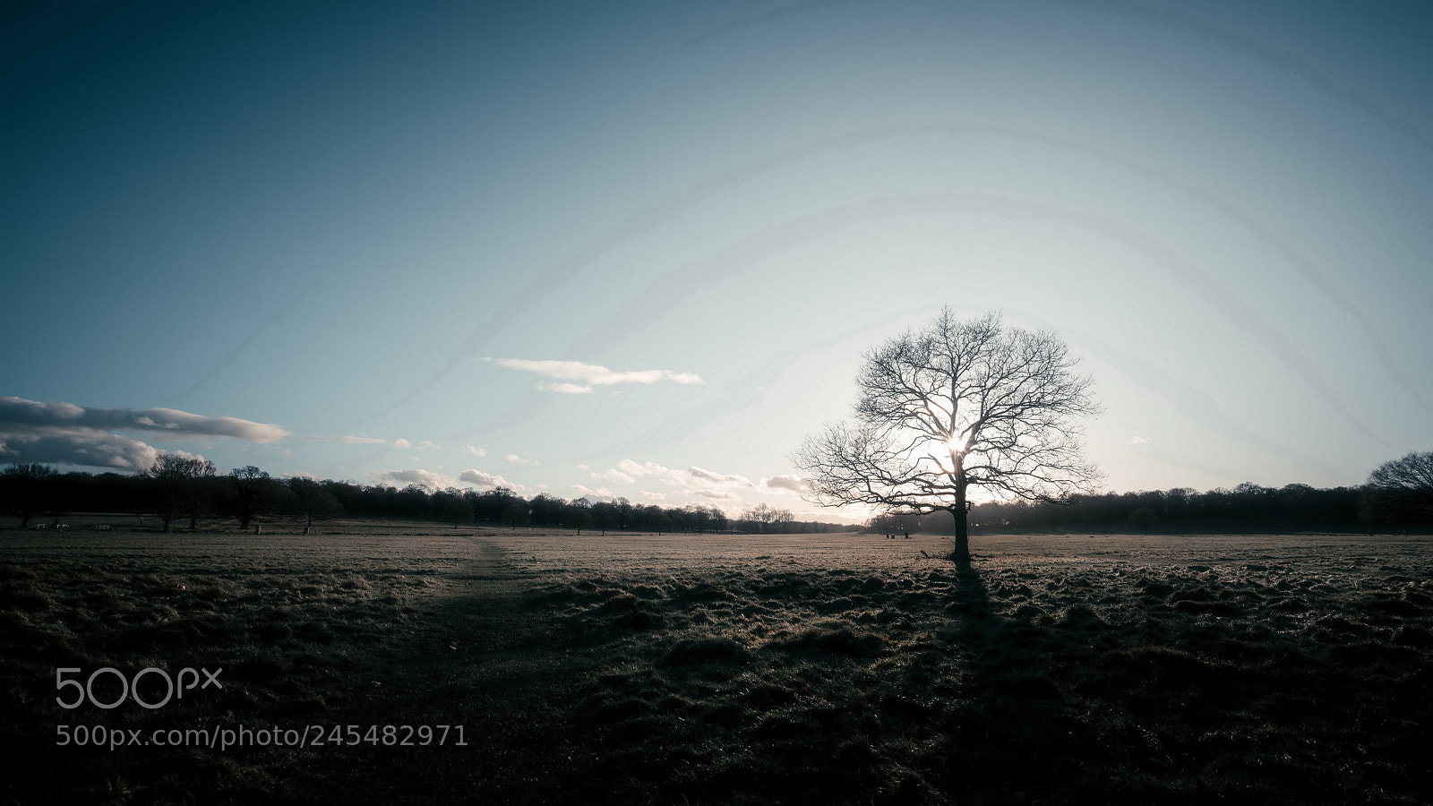 Sony a7R II sample photo. Untitled photography