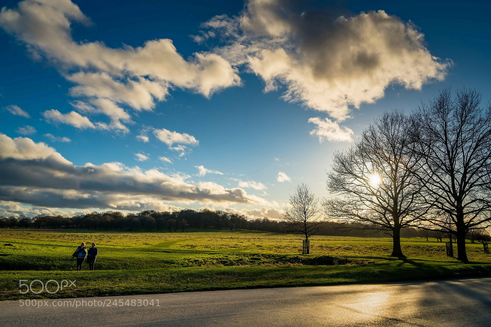 Sony a7R II sample photo. Untitled photography