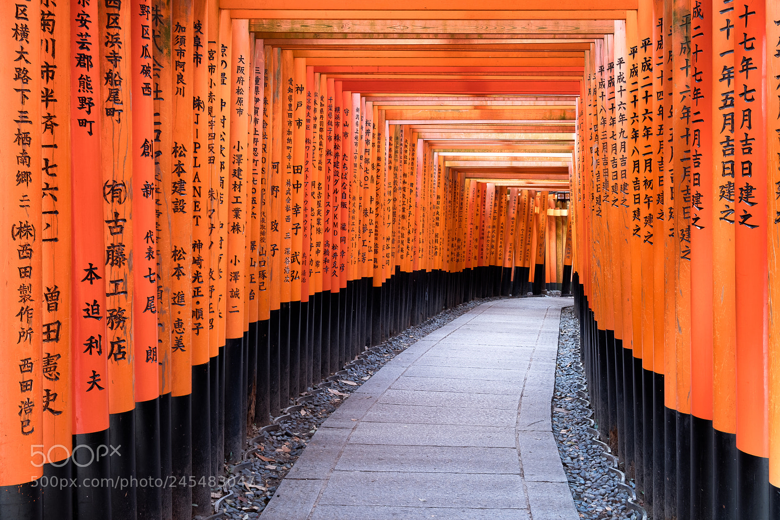Fujifilm X-T20 sample photo. Red path photography