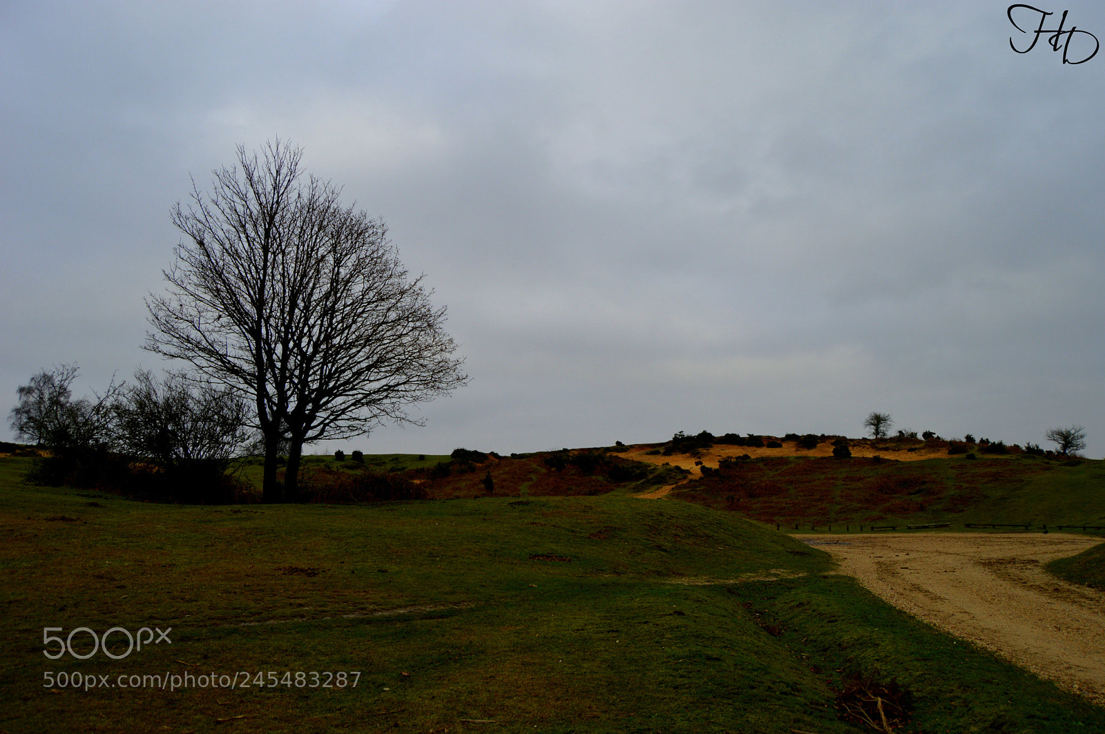 Nikon D3200 sample photo. Why so gloomy photography