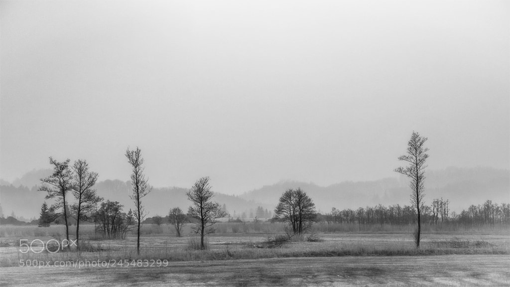 Canon EOS 40D sample photo. Dreary photography