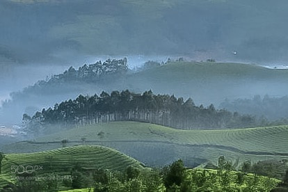Nikon D500 sample photo. Heaven on earth photography