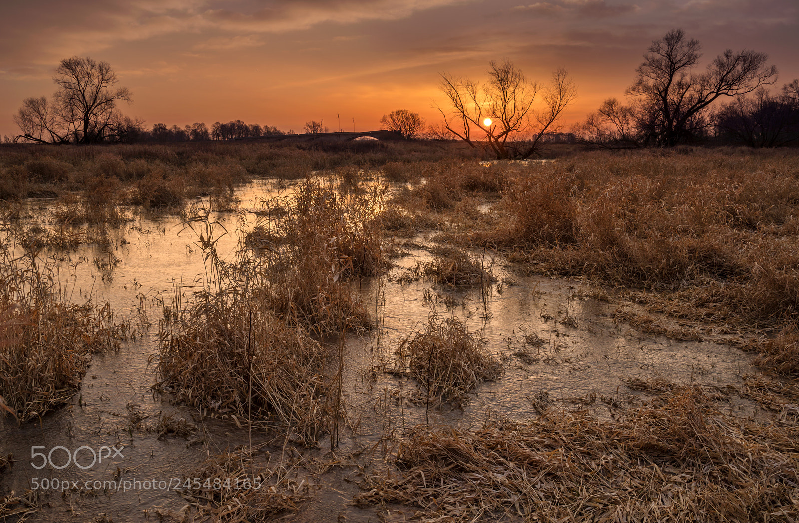 Pentax K-1 sample photo. Frosty morning pii photography