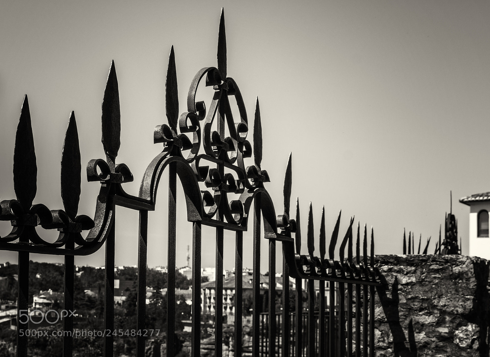 Nikon D7100 sample photo. (de-) fence photography