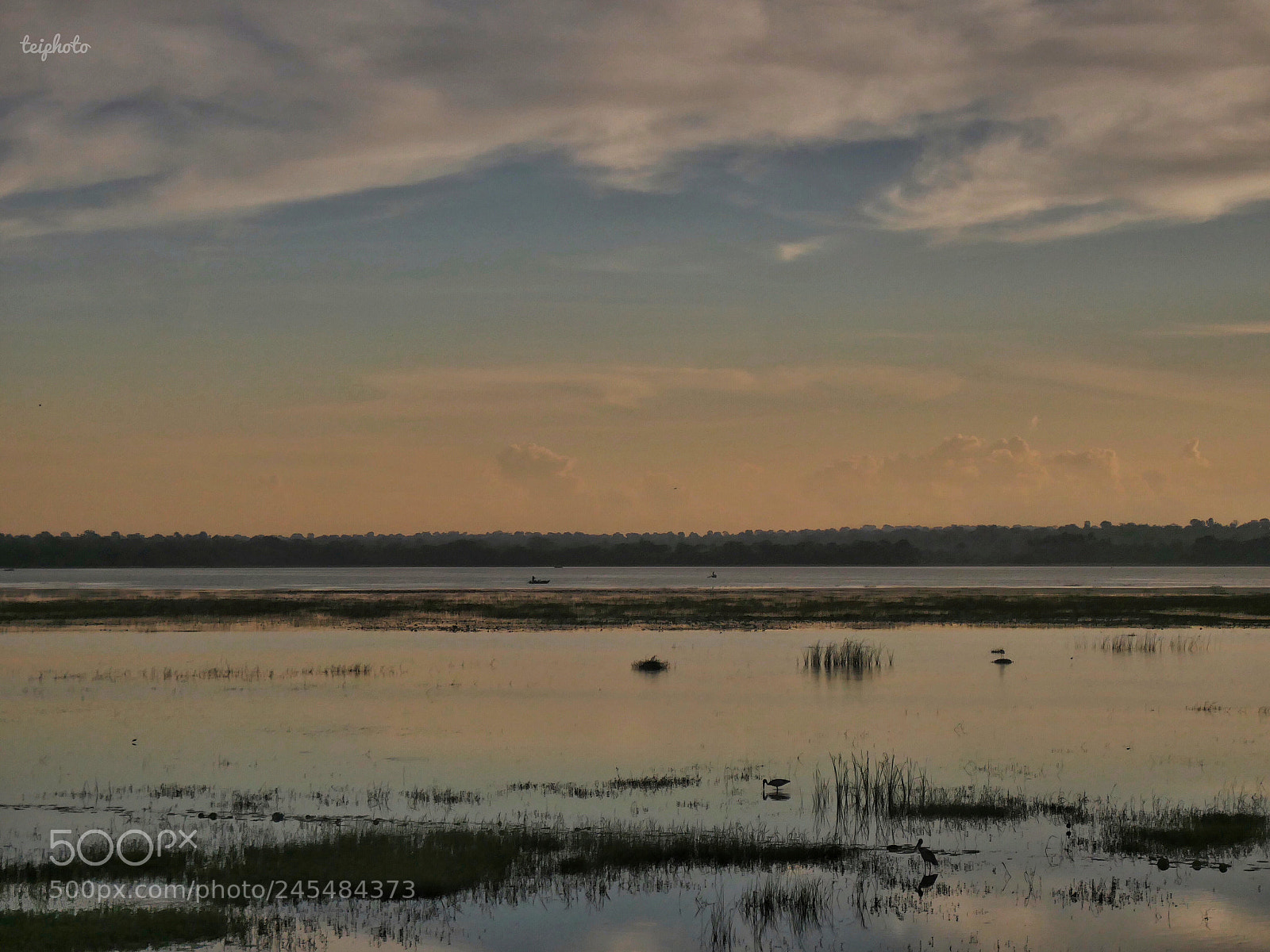 Panasonic Lumix DMC-GH4 sample photo. Yala sri lanka photography