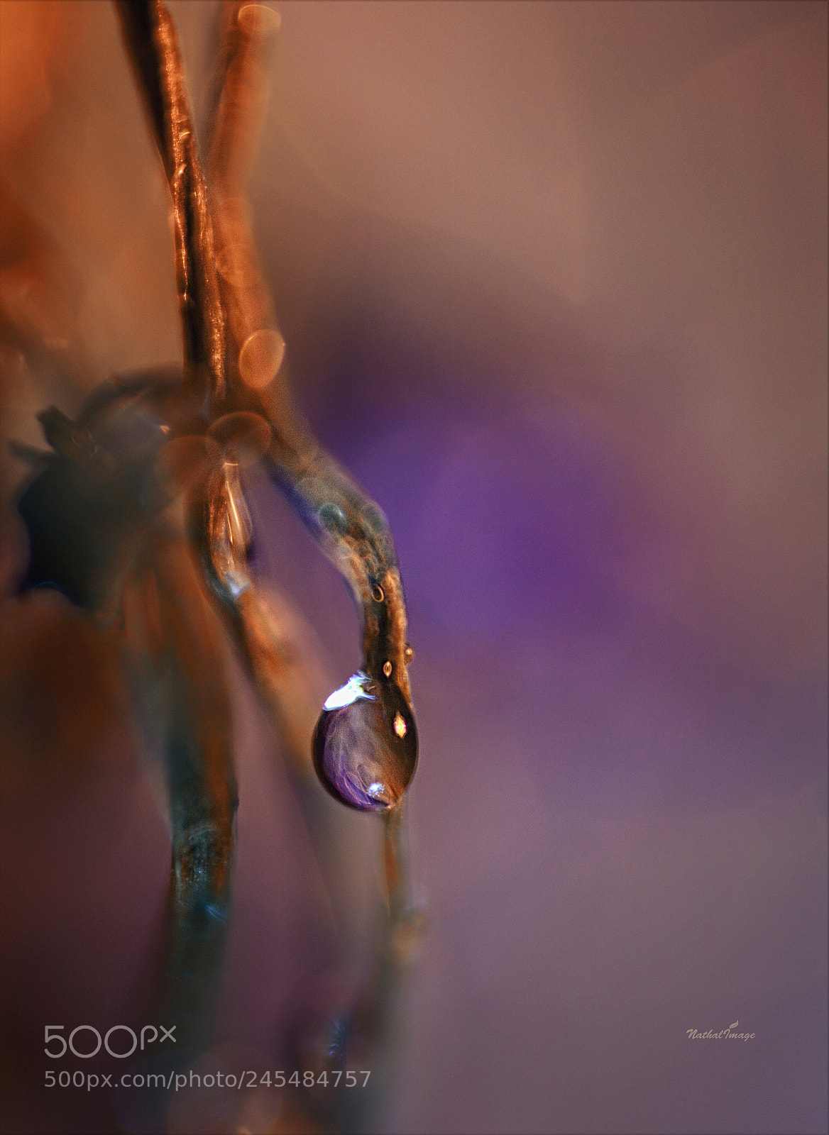 Nikon D7100 sample photo. .. when summer faded .. photography