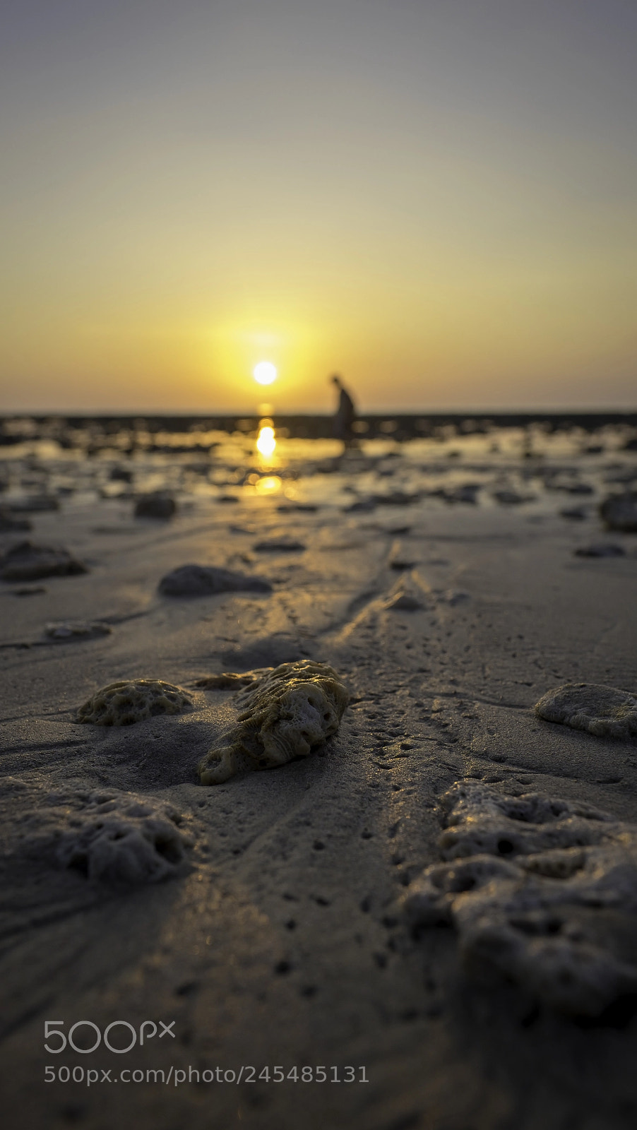 Fujifilm X-T1 sample photo. Sonnenuntergang photography