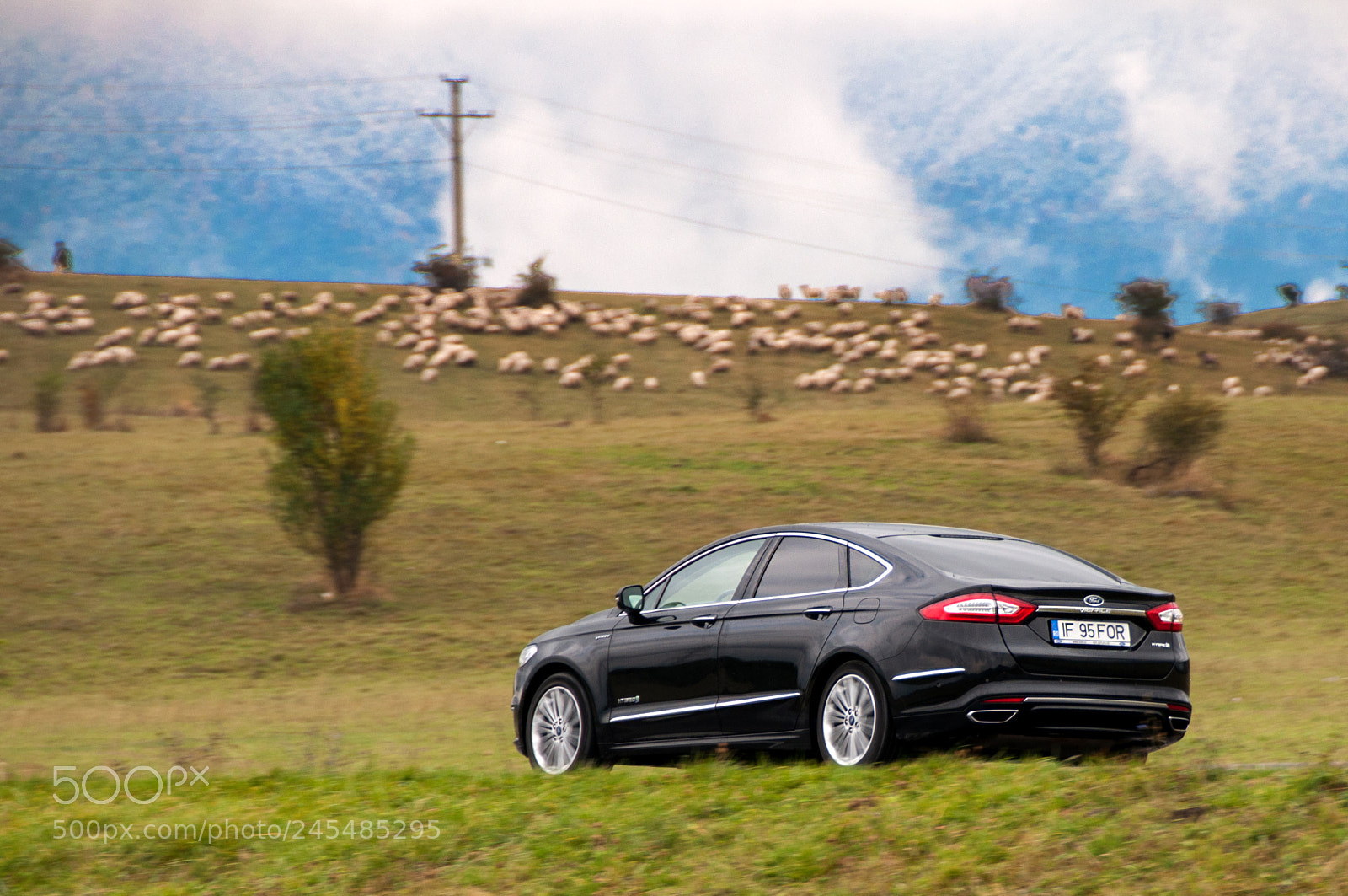 Nikon D90 sample photo. Ford mondeo photography
