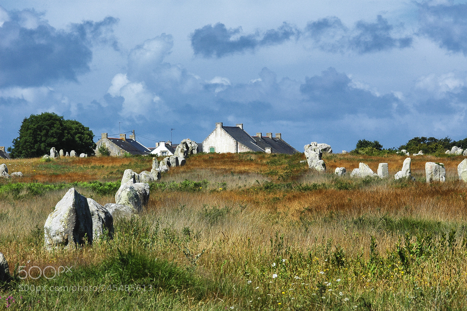 Nikon D70 sample photo. Carnac brittany, france menhir photography
