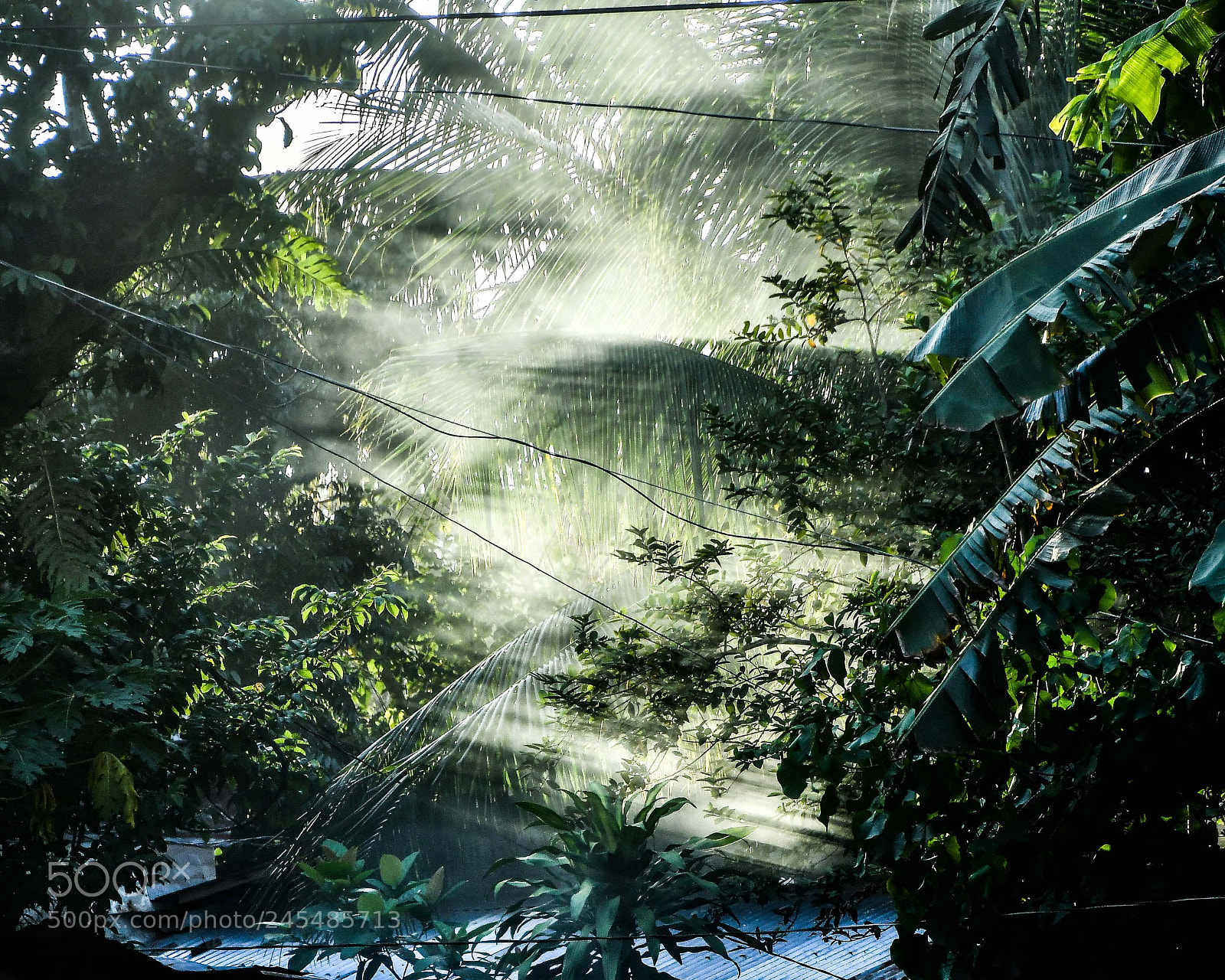 Nikon D7500 sample photo. Sun rays photography