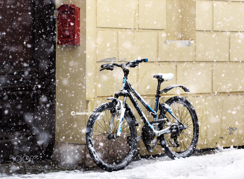 Olympus OM-D E-M1 Mark II sample photo. Winter transport photography