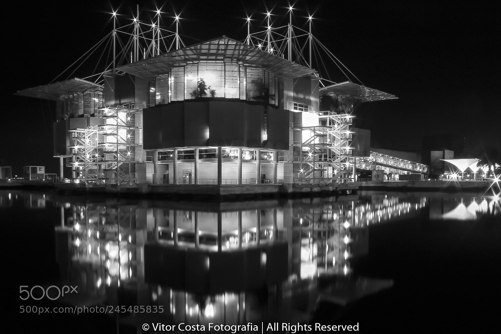 Canon EOS 650D (EOS Rebel T4i / EOS Kiss X6i) sample photo. Lisbon oceanarium b&w photography
