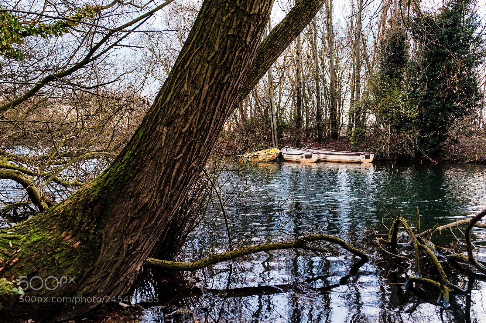 Fujifilm X-T2 sample photo. Colwick country park photography