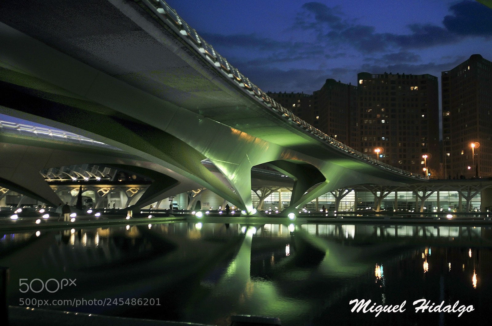 Nikon D300 sample photo. Puente verde photography