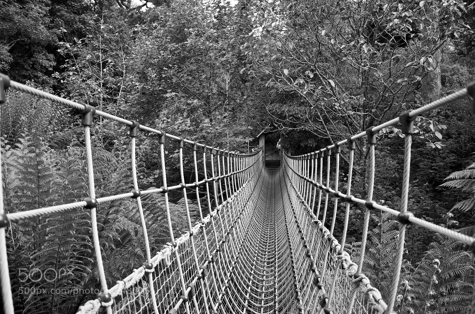 Nikon D5100 sample photo. Face your fear photography