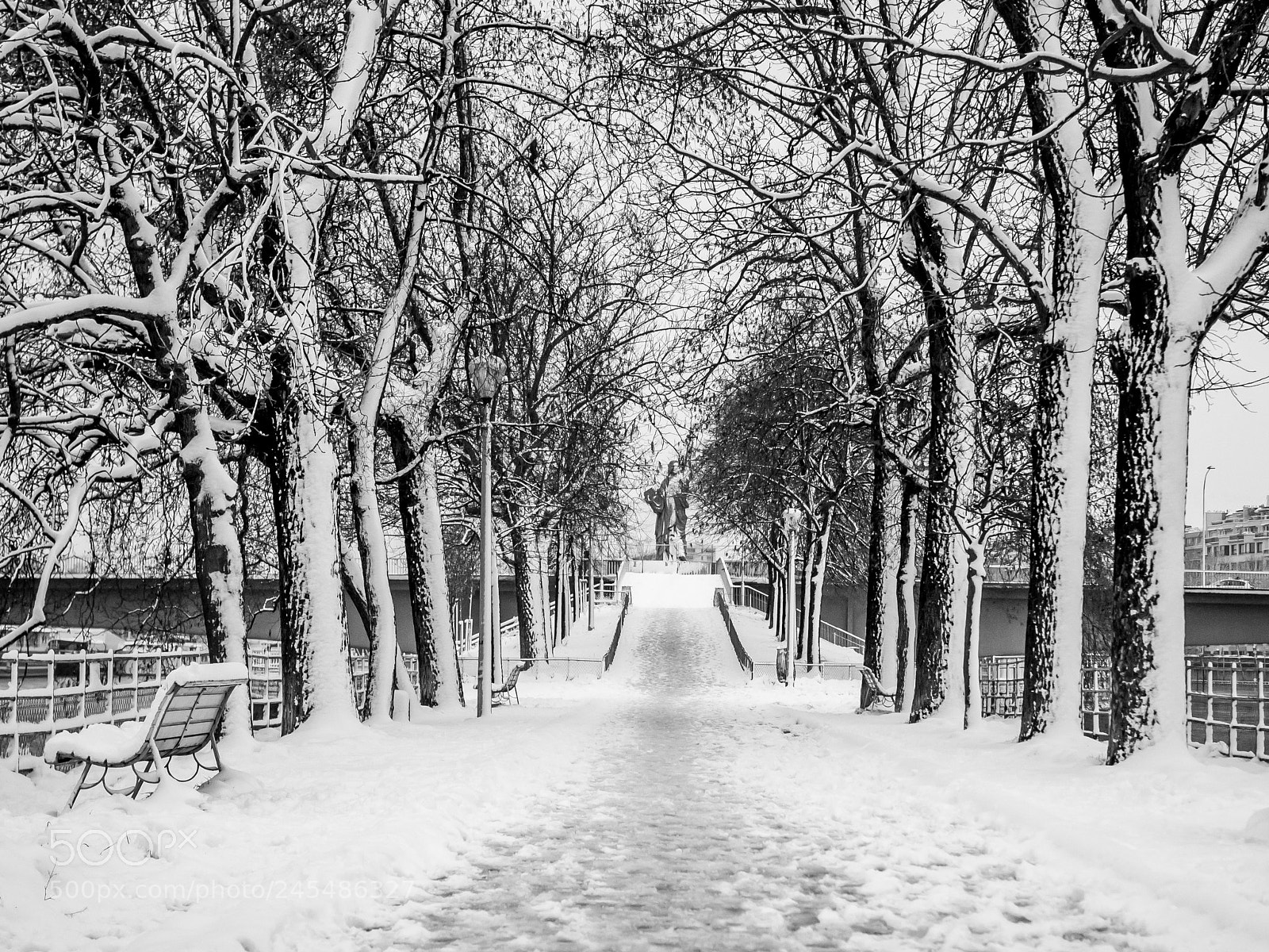 Olympus OM-D E-M5 II sample photo. Snowy swan alley photography