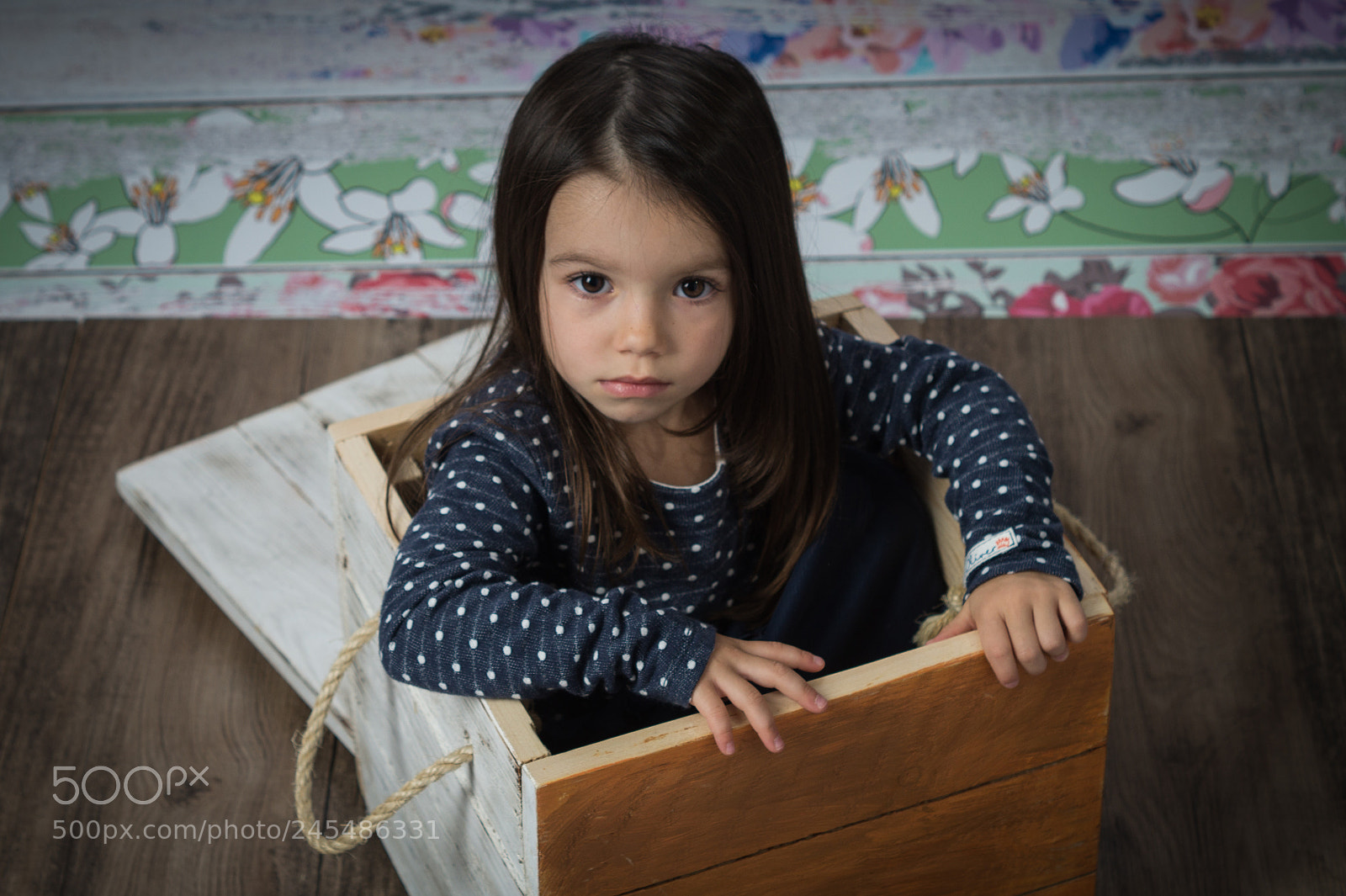 Sony SLT-A58 sample photo. The girl in the photography