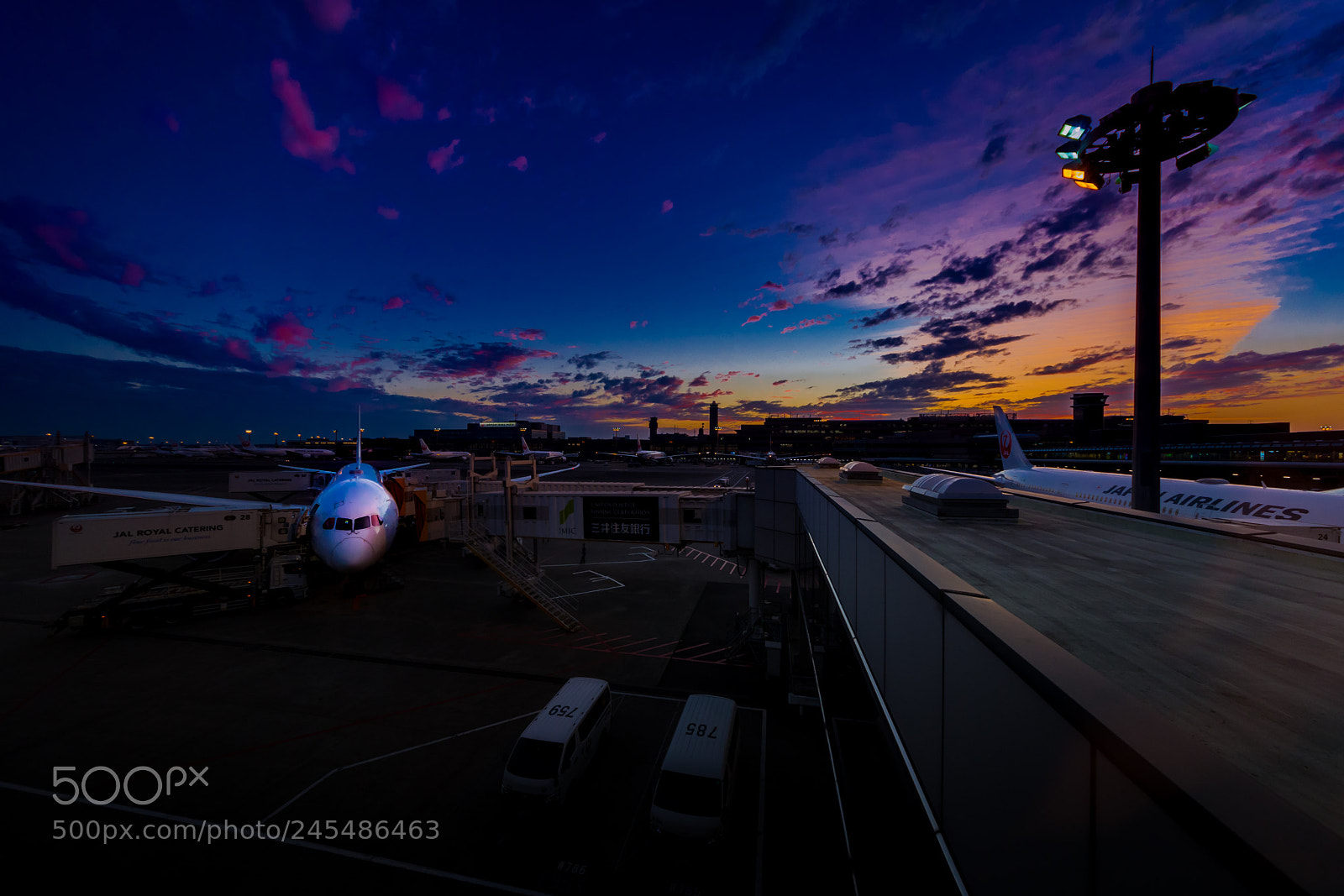Nikon D500 sample photo. Sunset of narita airport photography