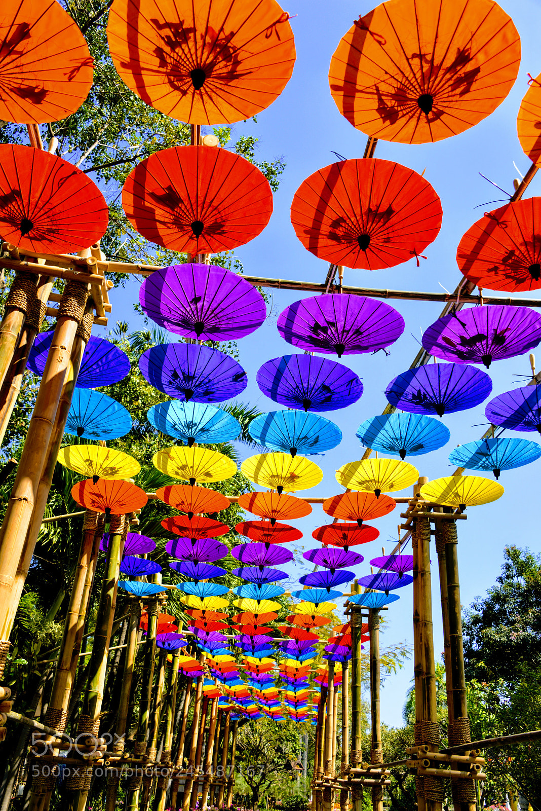 Nikon D610 sample photo. Chiang mai, thailand photography