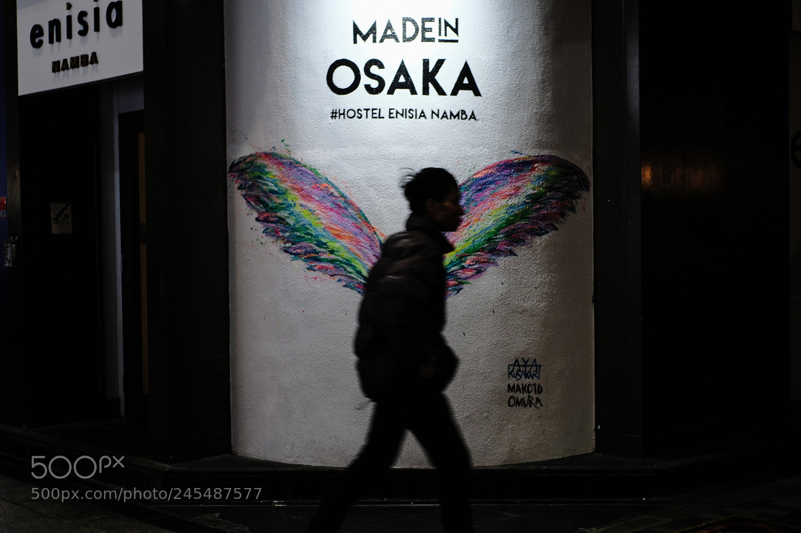 Fujifilm X-Pro2 sample photo. Wing photography
