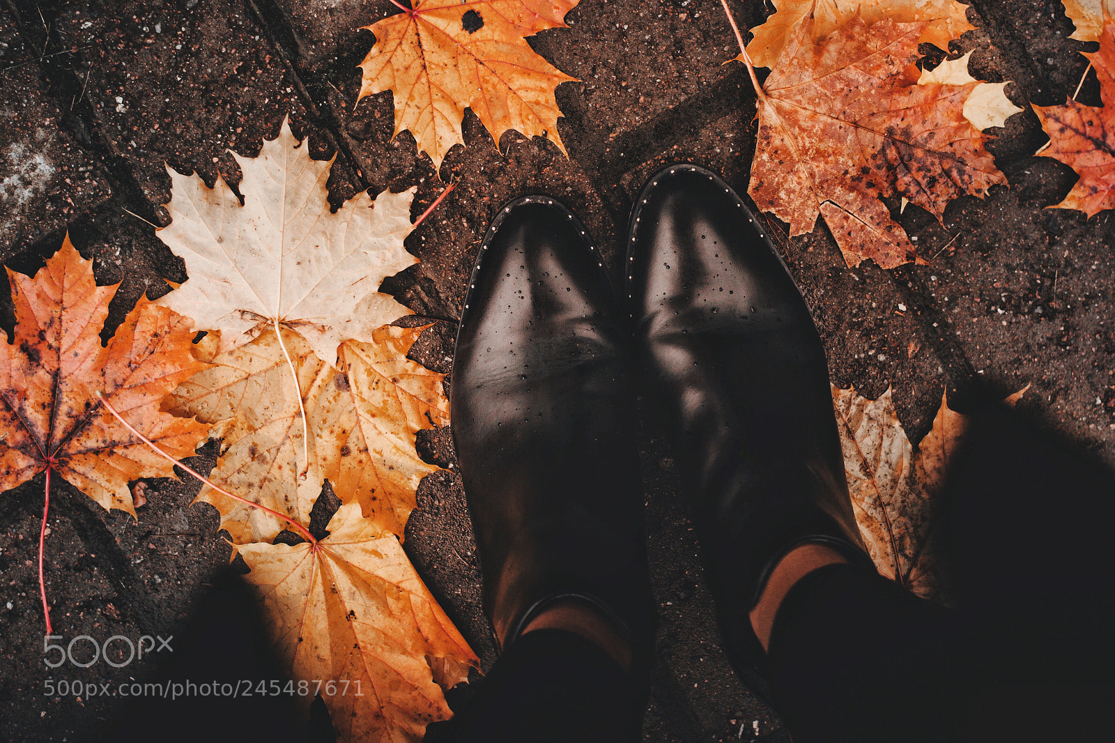 Nikon D3100 sample photo. Autumn details photography
