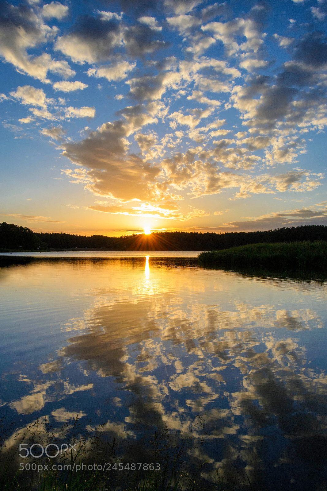 Nikon D3100 sample photo. копия photography