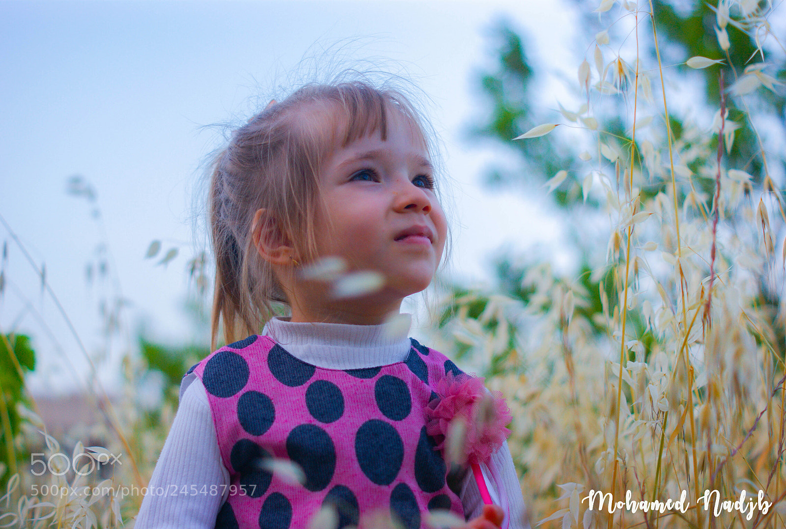 Sony Alpha DSLR-A380 sample photo. Untitled photography