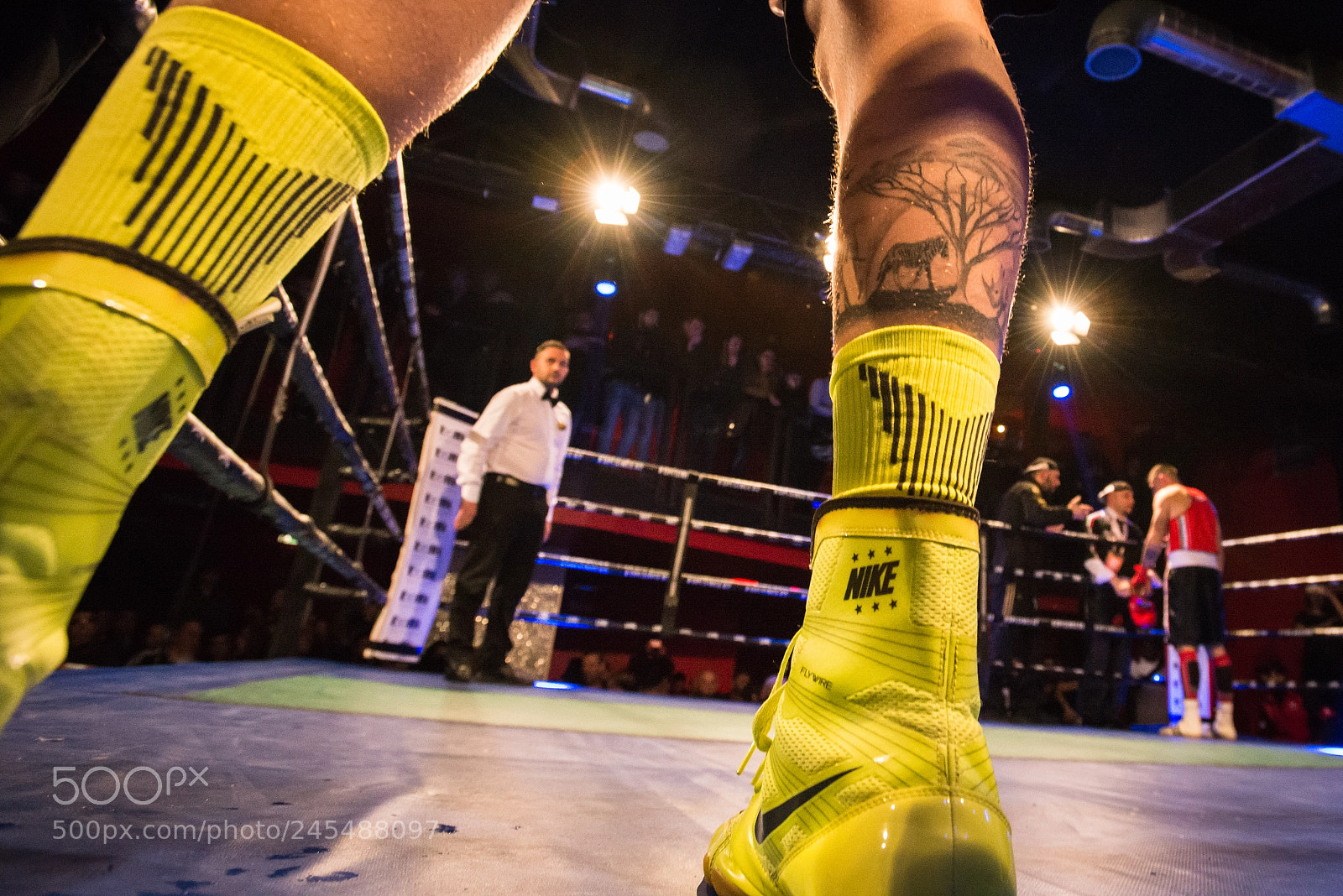 Nikon D600 sample photo. Boxer photography