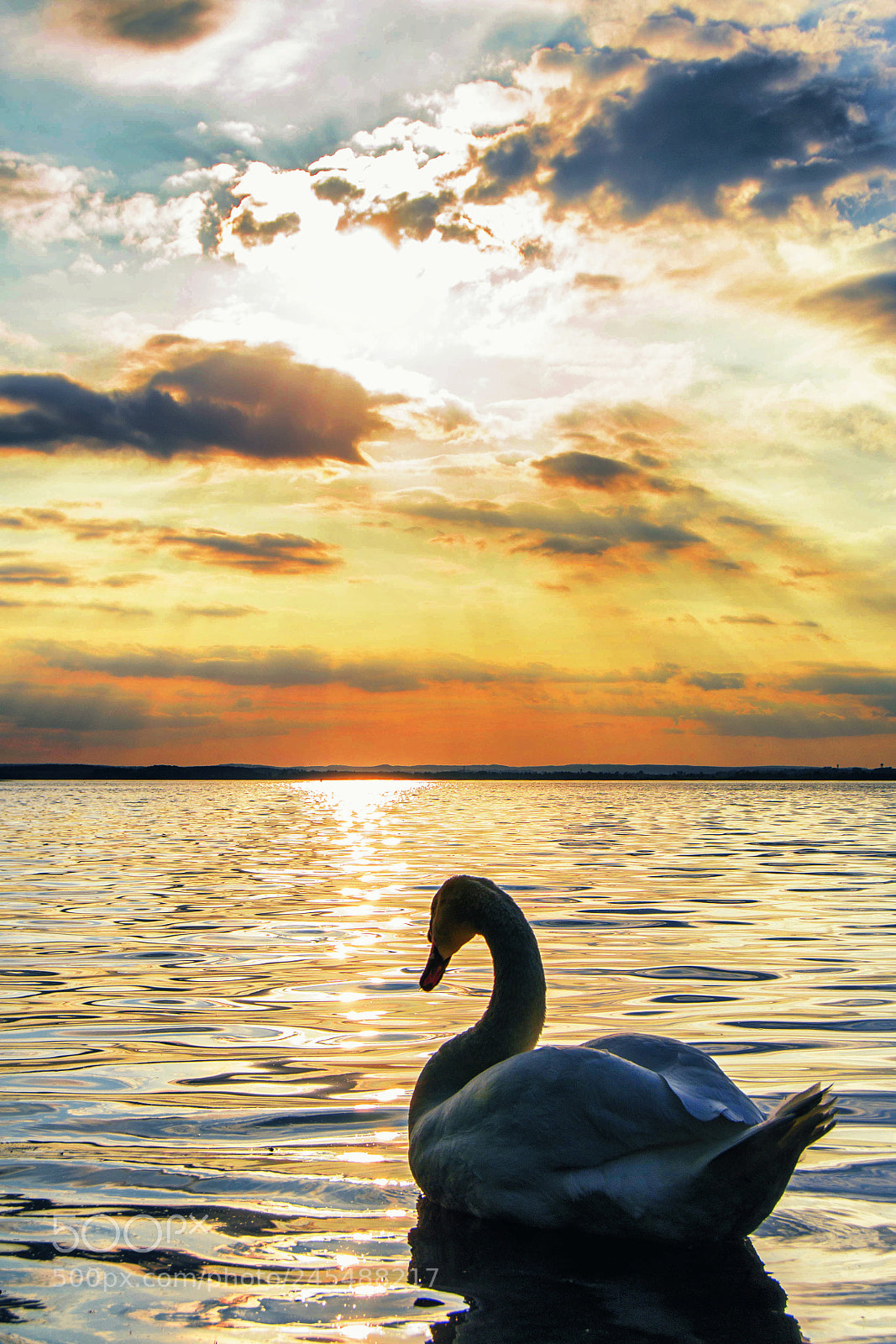 Nikon D3100 sample photo. копия photography