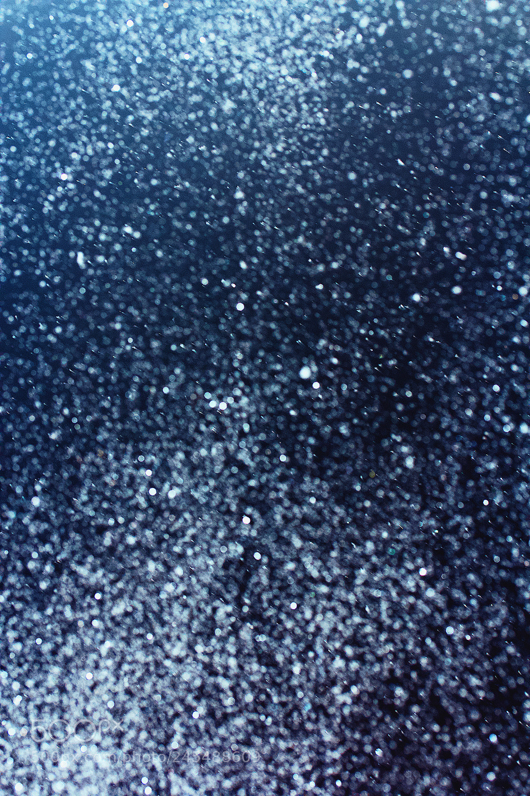 Canon EOS 550D (EOS Rebel T2i / EOS Kiss X4) sample photo. Snow is glitter photography