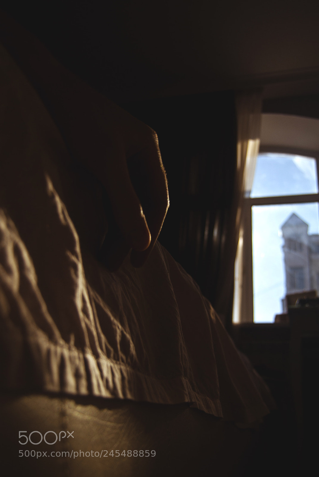 Nikon D3000 sample photo. Home, home again photography