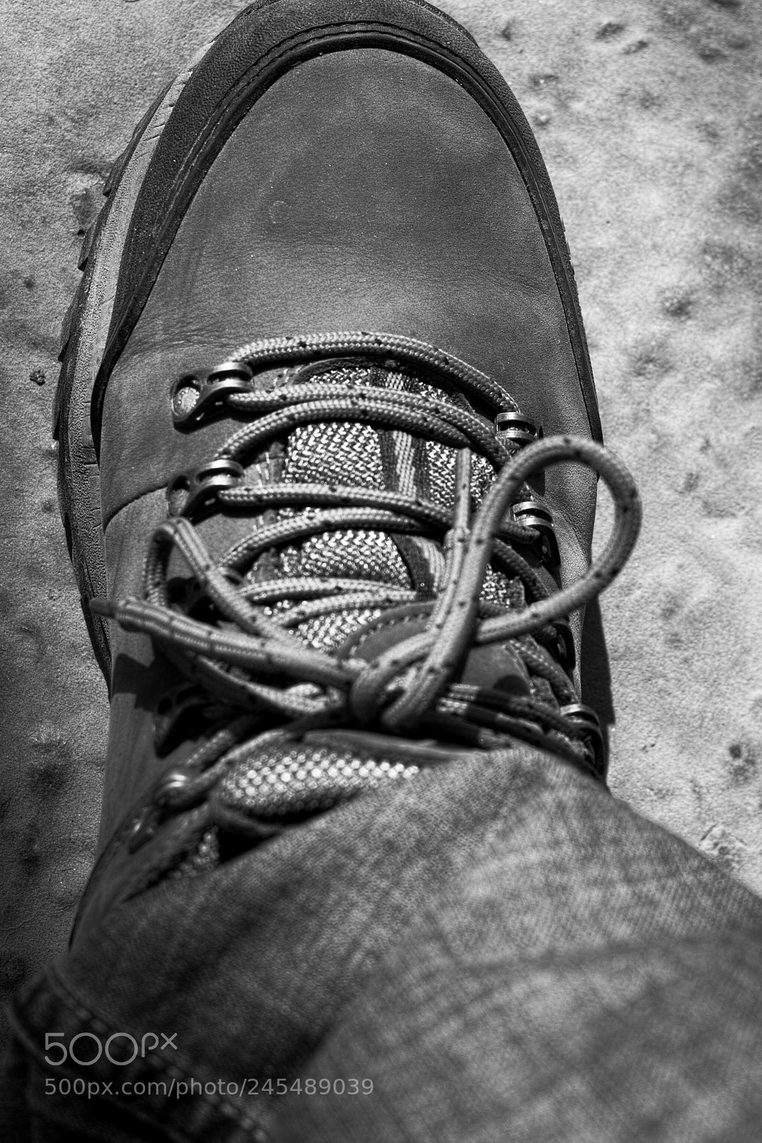 Sigma DP2 Merrill sample photo. Untitled photography