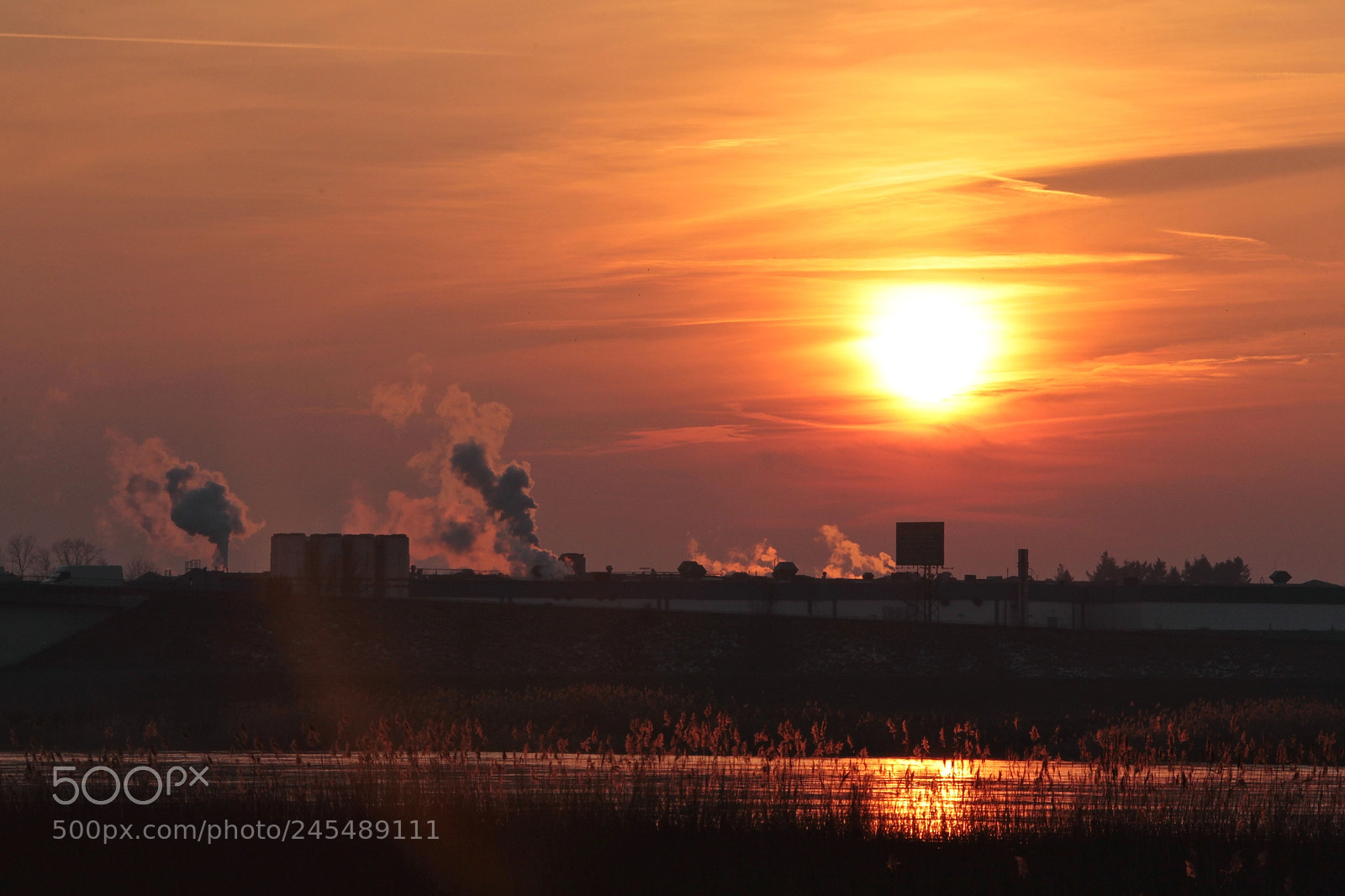 Canon EOS-1D Mark IV sample photo. Untitled photography