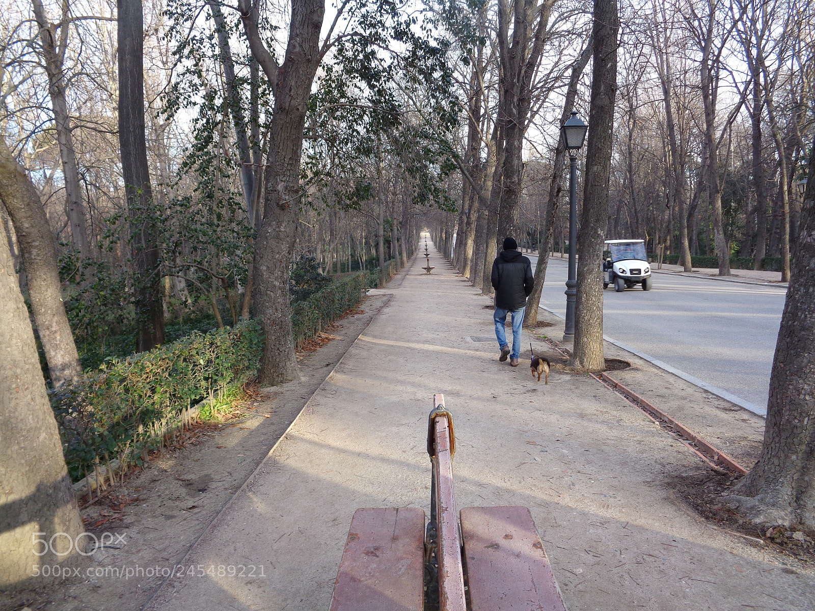 Sony Cyber-shot DSC-W830 sample photo. Paseante photography