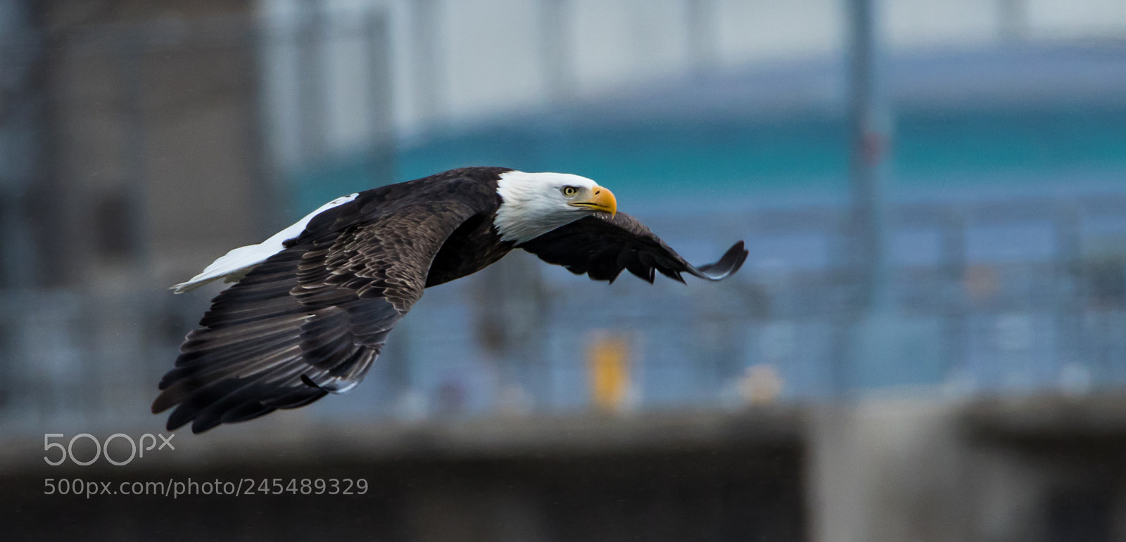Canon EOS 7D Mark II sample photo. Decending photography