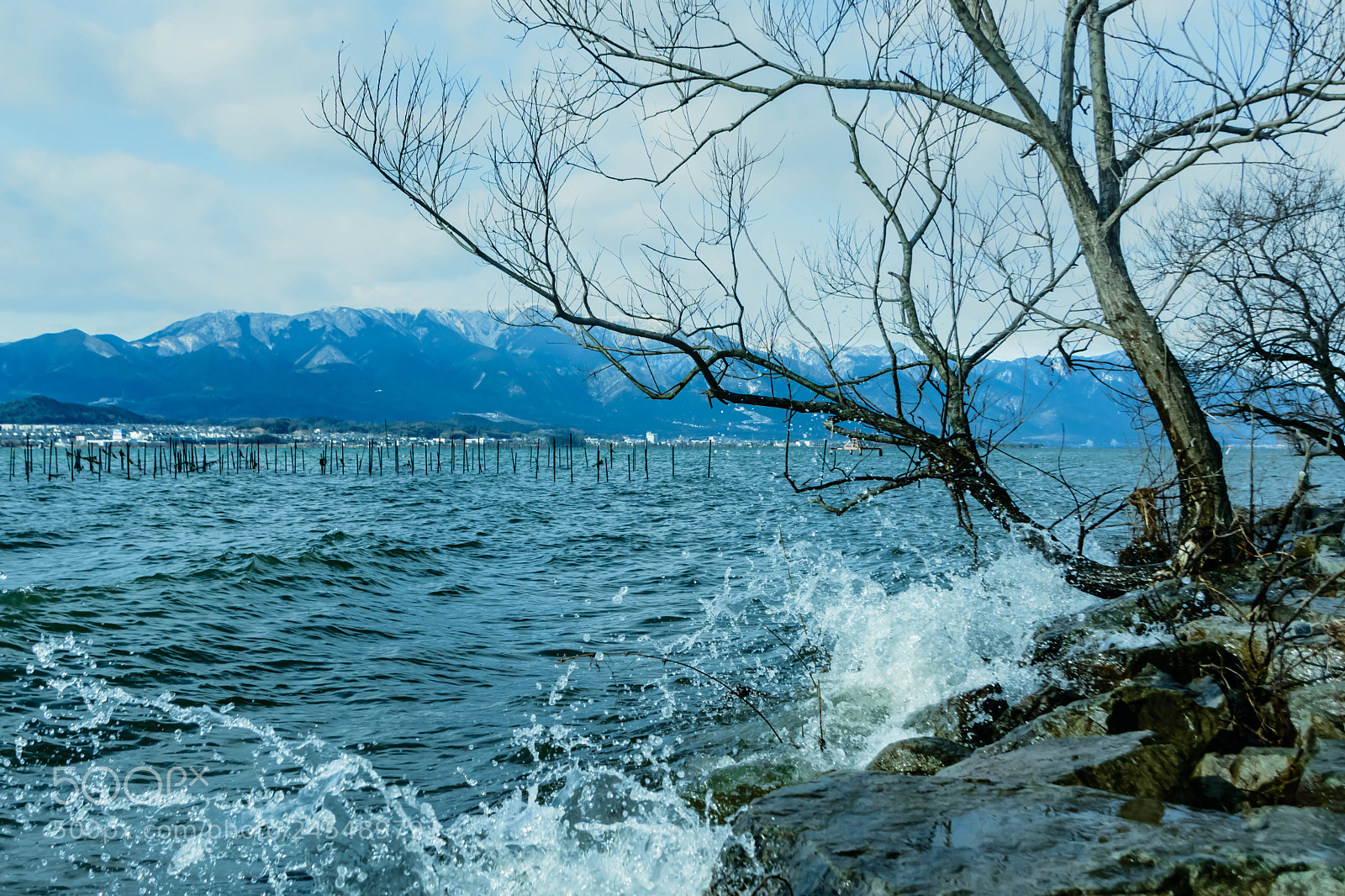 Nikon D5200 sample photo. 冬の琵琶湖 photography