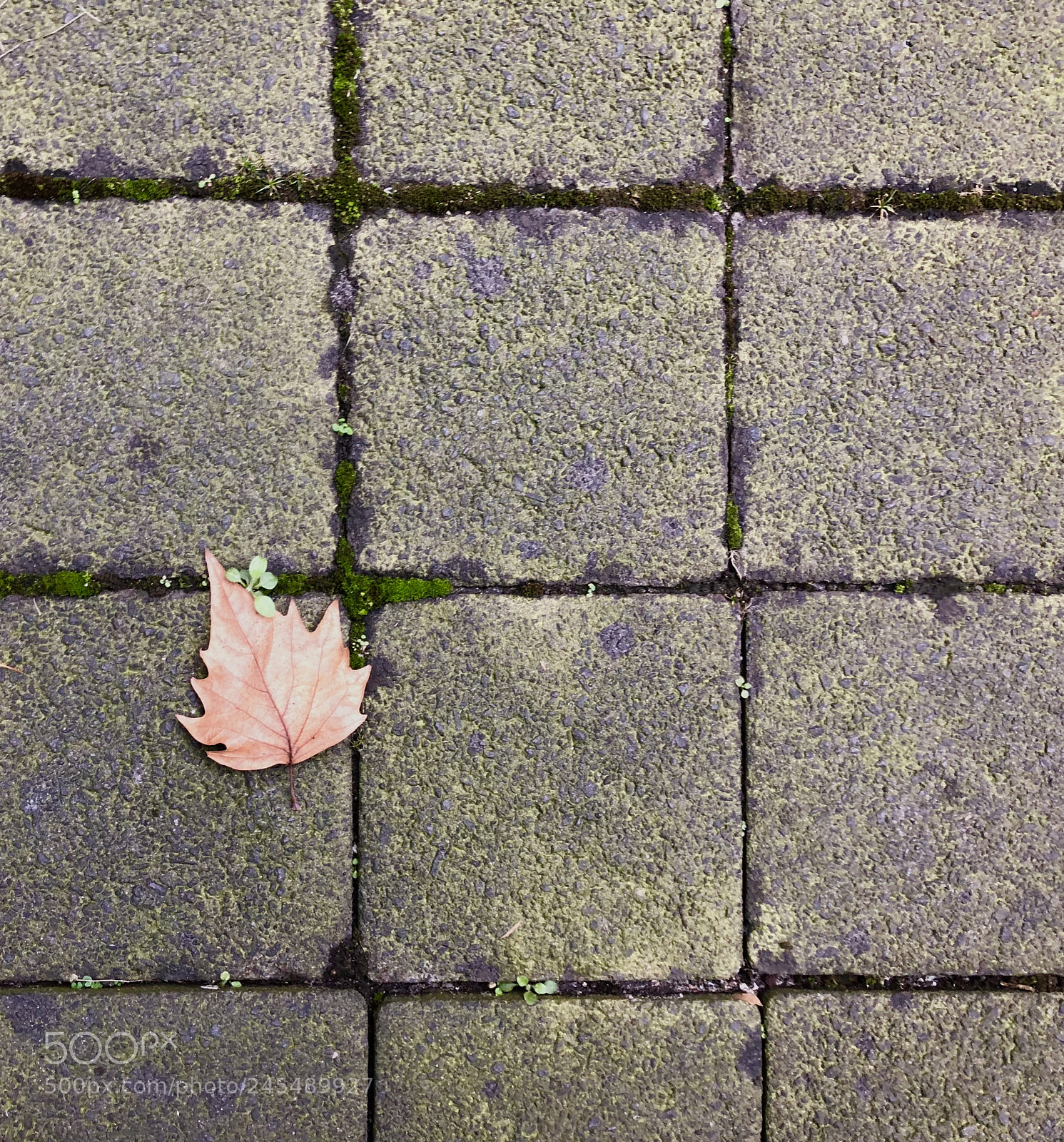 Apple iPhone 8 Plus sample photo. Einen anfang oder einende? photography