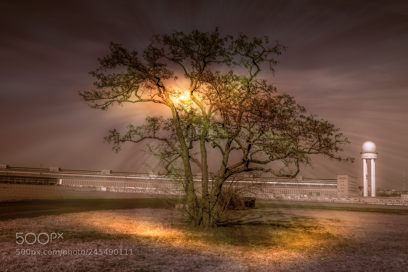 Fujifilm X-T20 sample photo. Tree photography