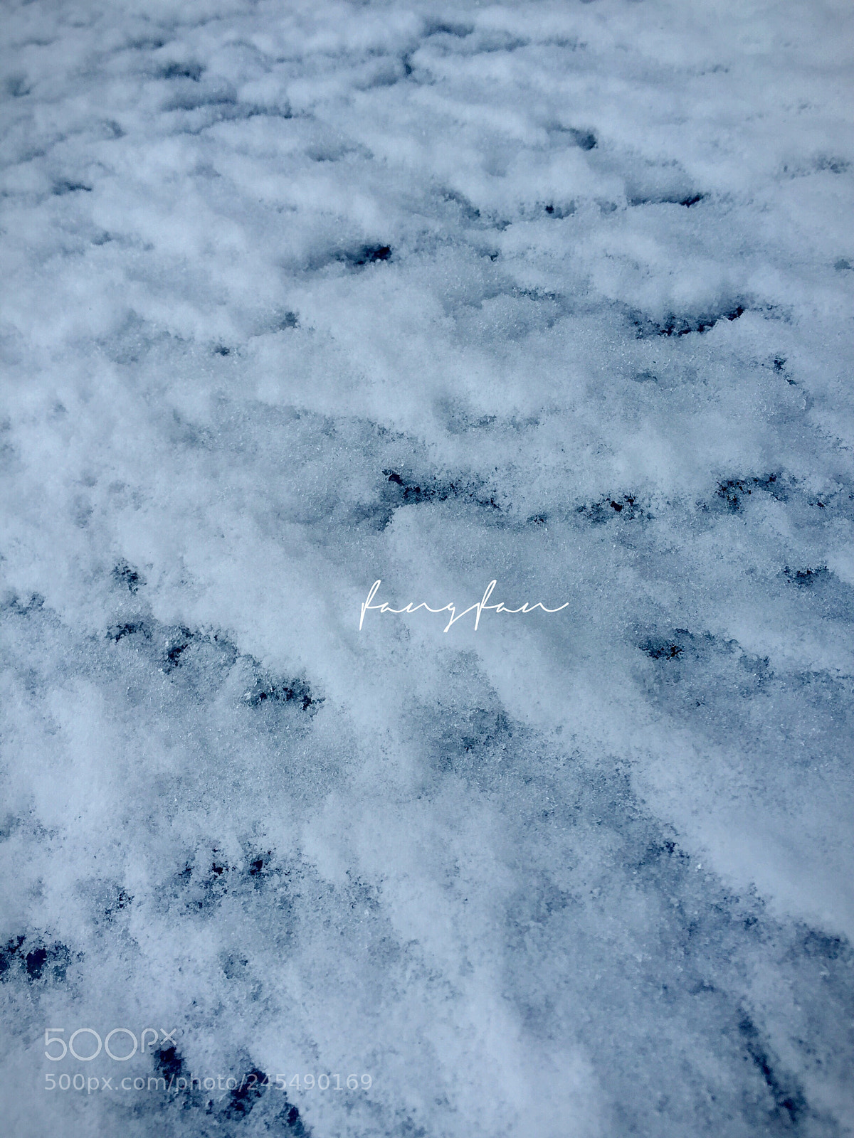 Apple iPhone 6 Plus sample photo. 在雪上走是什么感觉 photography